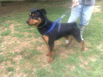 Αναζητά μια ζεστή γωνιά